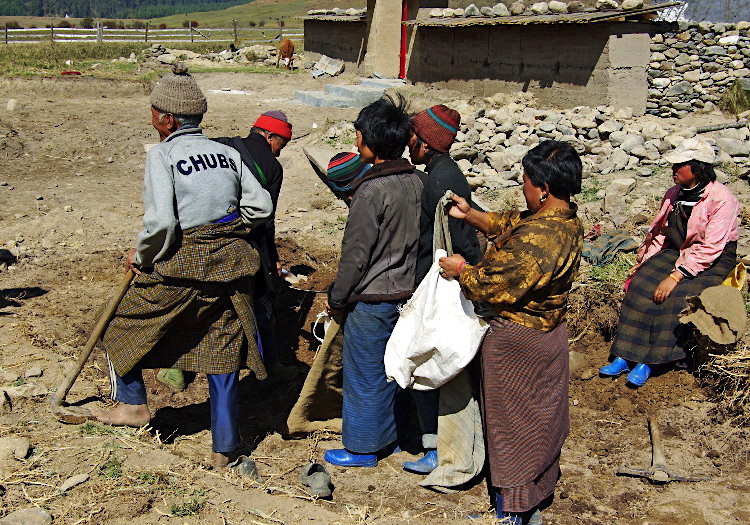 Collecting earth for building, Phobjikha valley, Bhutan