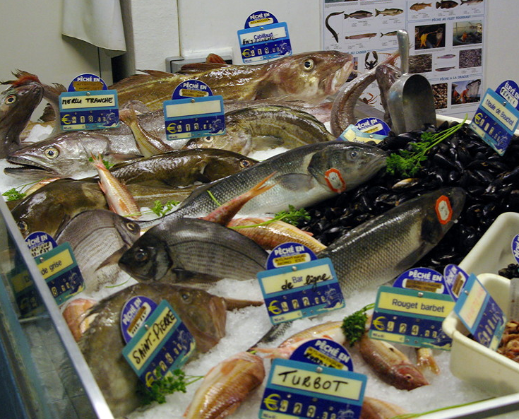 Concarneau Les Halles, fish stall