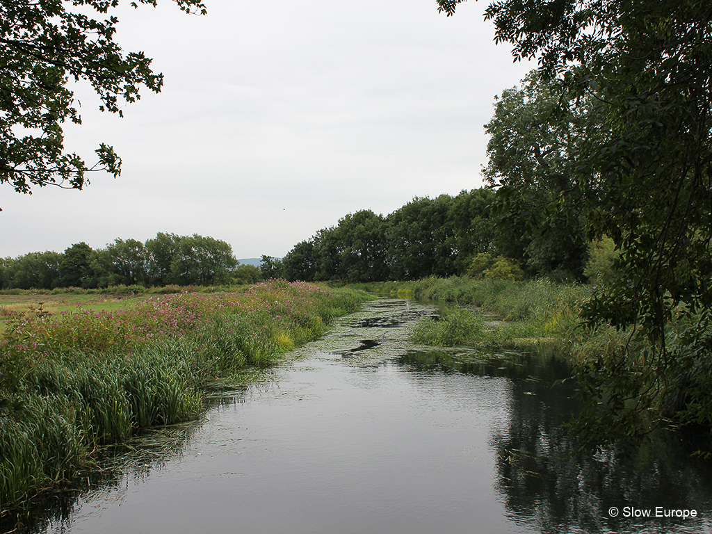 Cotswold Canals