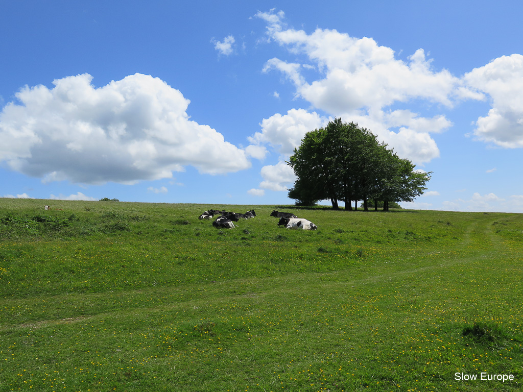 Cotswold Way