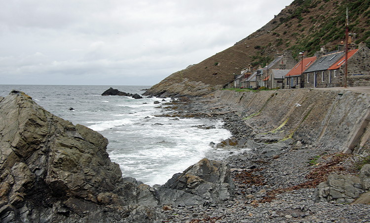 Crovie