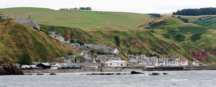 Crovie