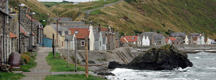 Crovie