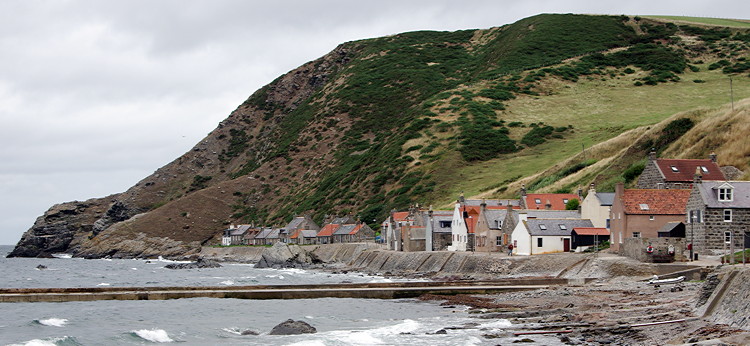 Crovie