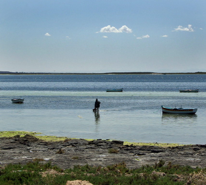 Djerba - fishing at Borj Jillij