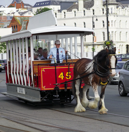 Douglas Horse Trams