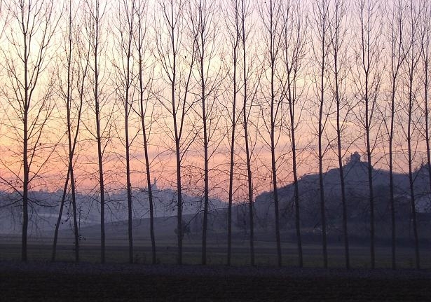 Dusk at Corsione, Monferrato