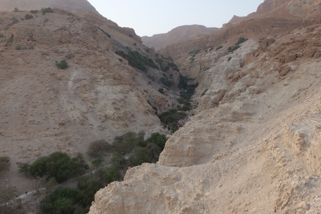 Ein Gedi