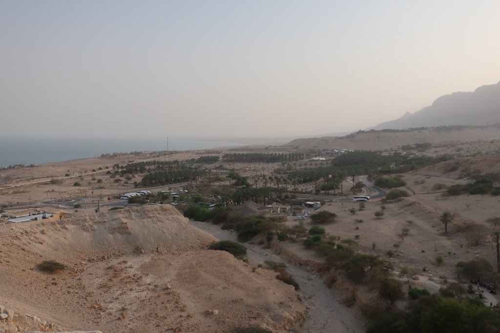 Ein Gedi