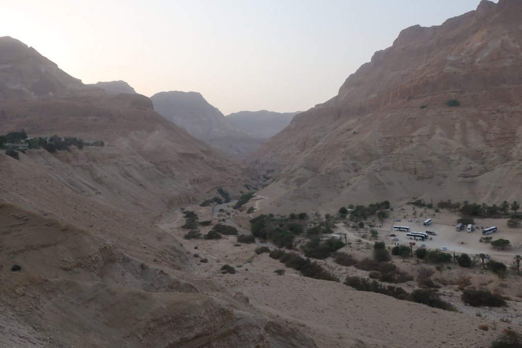 Ein Gedi