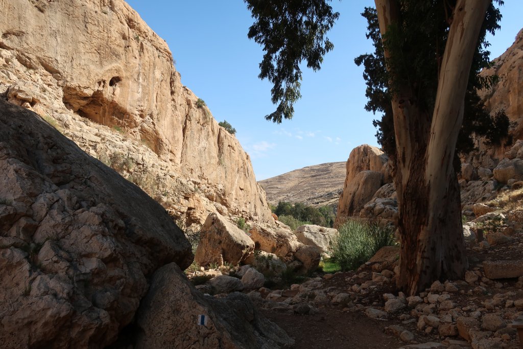 Ein Prat Nature Reserve - Wadi Kelt