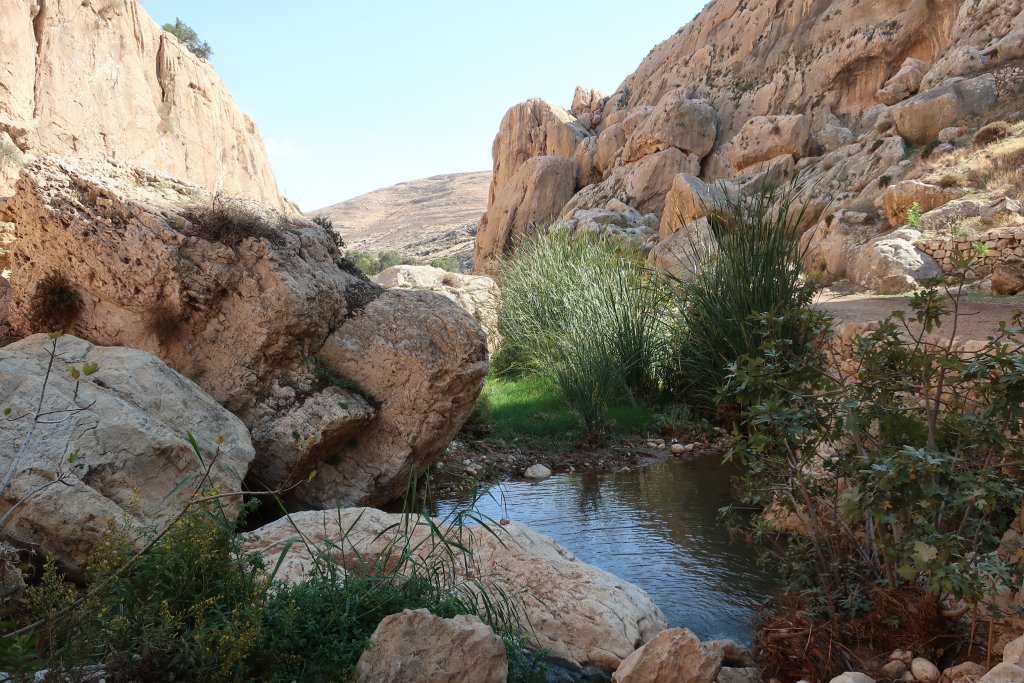 Ein Prat Nature Reserve - Wadi Kelt