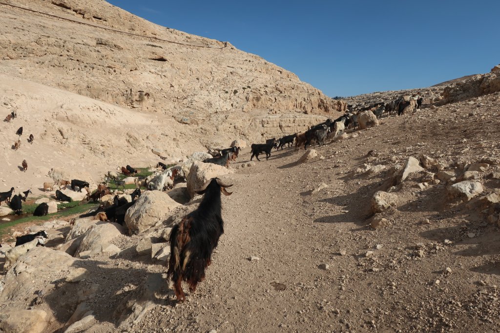 Ein Prat Nature Reserve - Wadi Kelt