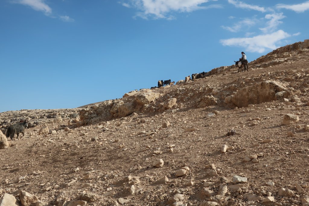 Ein Prat Nature Reserve - Wadi Kelt