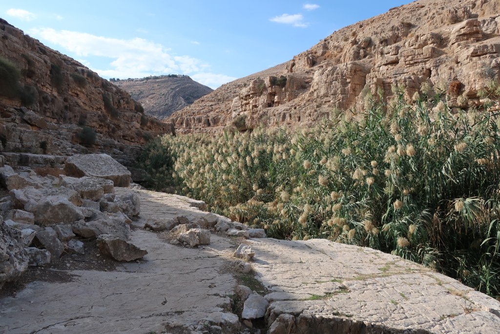 Ein Prat Nature Reserve - Wadi Kelt