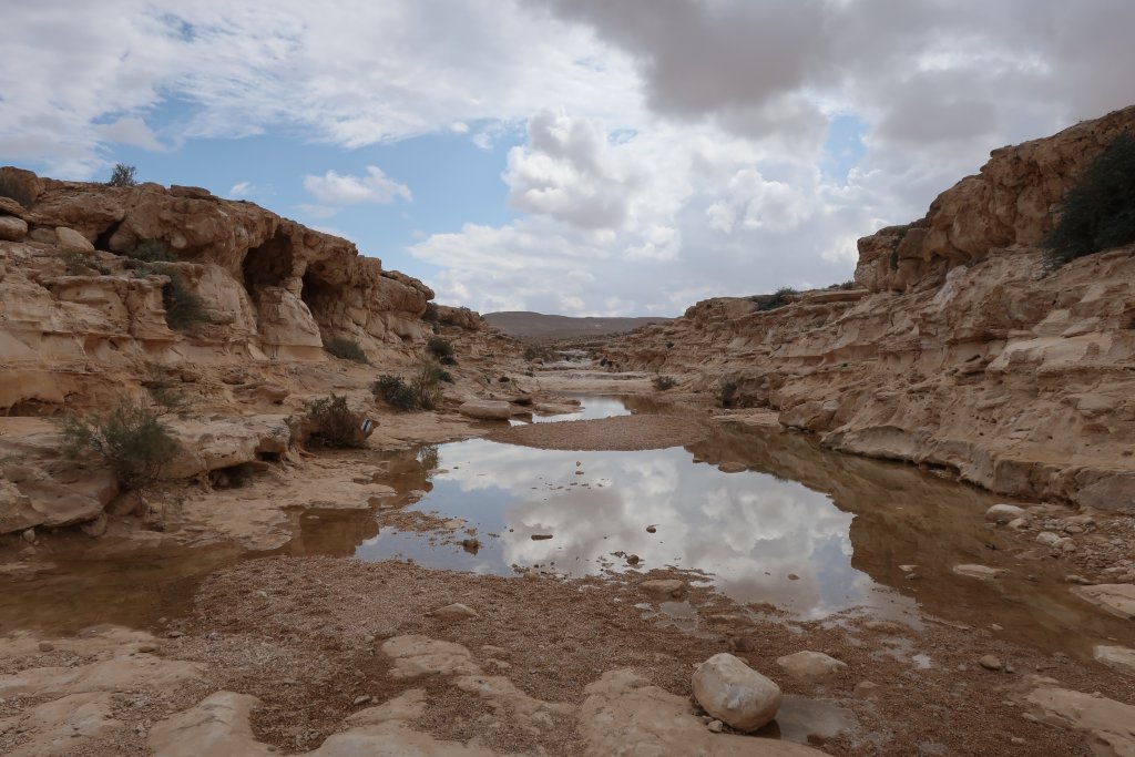 En Avdat National Park