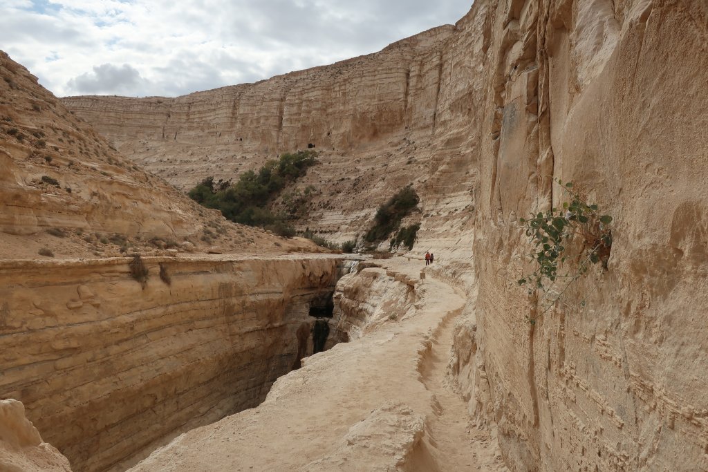 En Avdat National Park