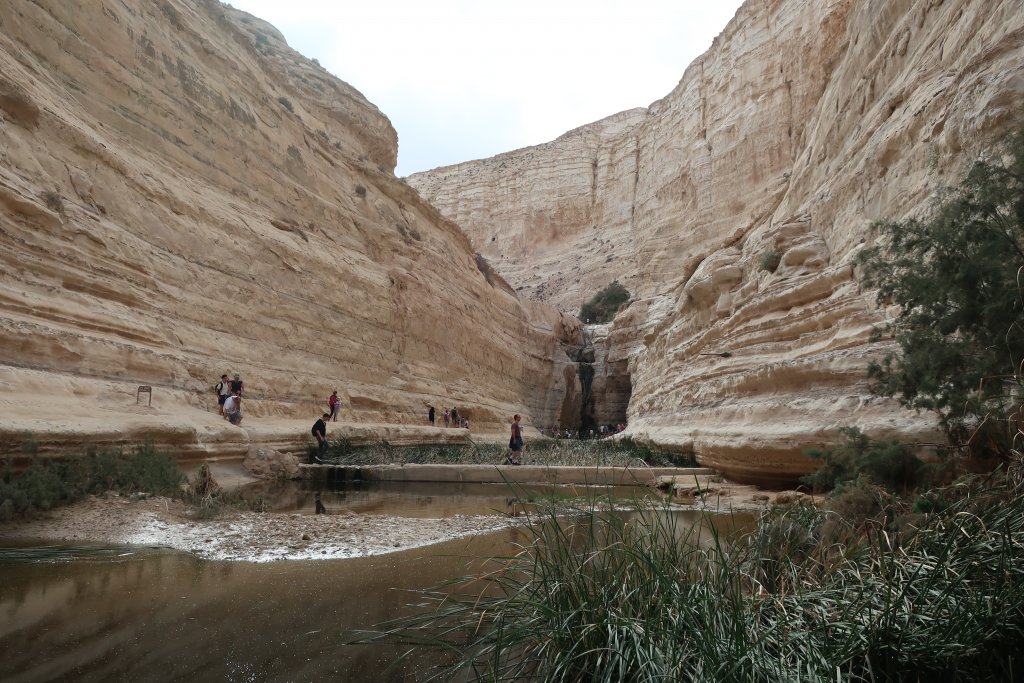 En Avdat National Park