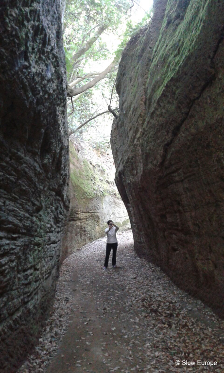 Etruscan Pathways near Pitigliano