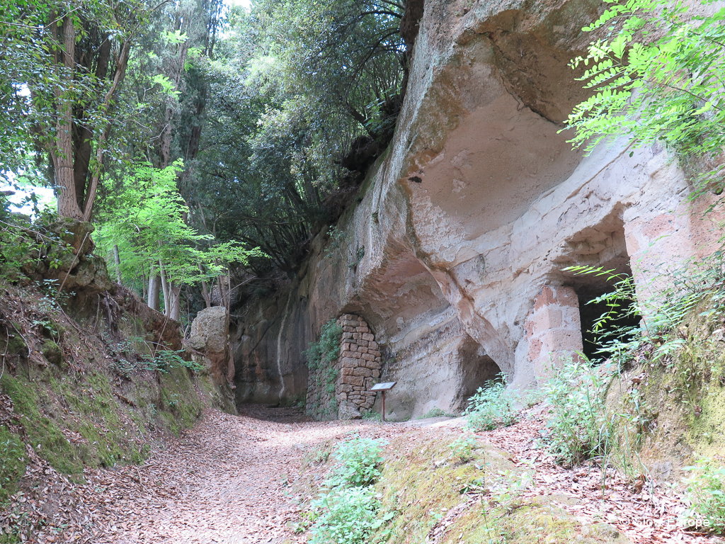 Etruscan Pathways near Pitigliano