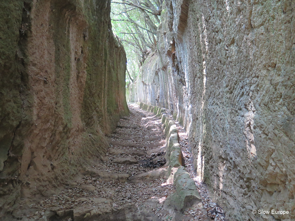 Etruscan Pathways near Pitigliano