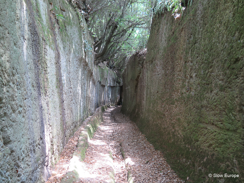 Etruscan Pathways near Pitigliano