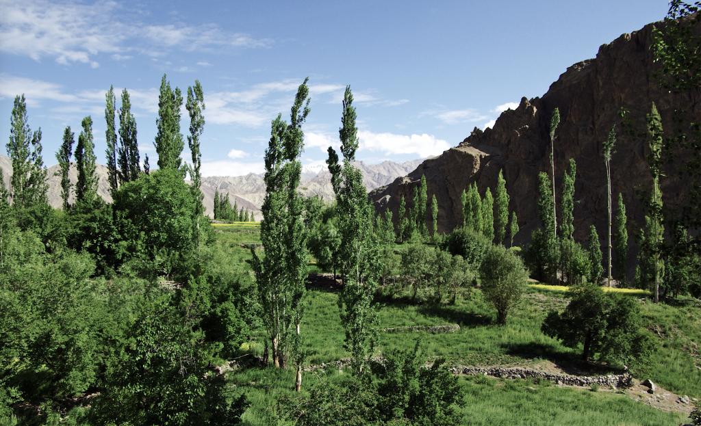 Fields and river valley on the way to Alchi Choshkar