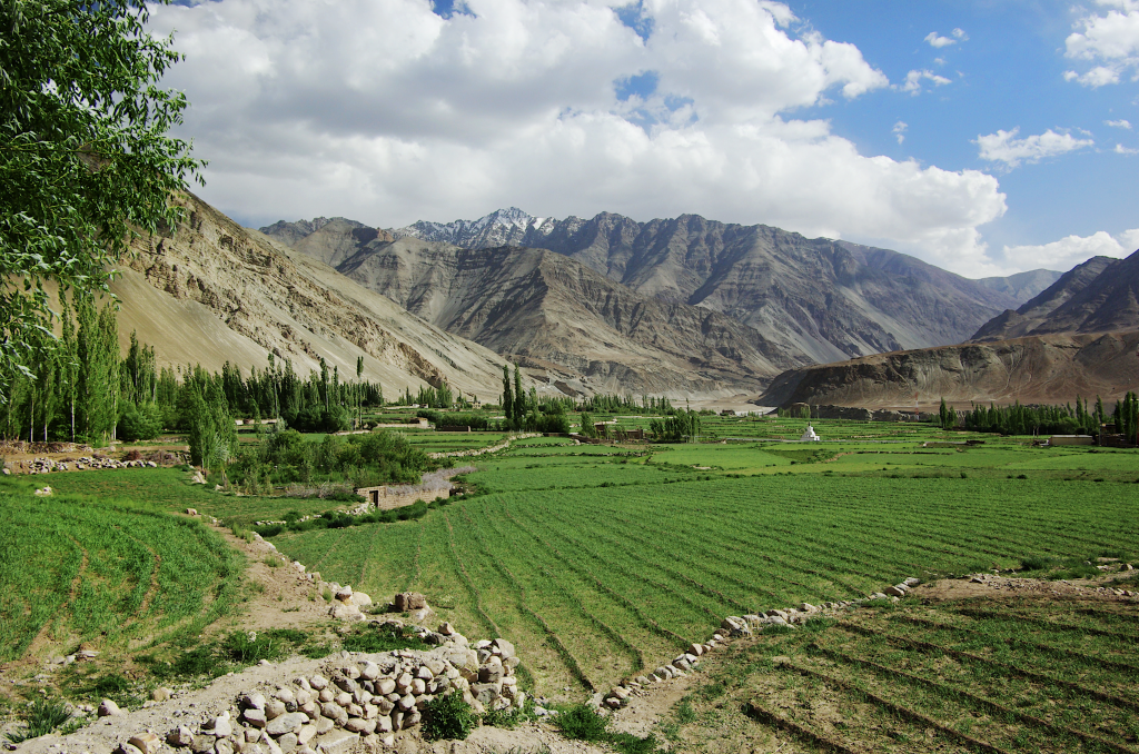 Fields around Nimoo