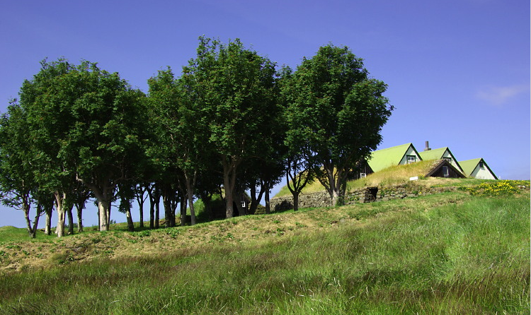 Folk Museum - Arbær Farm