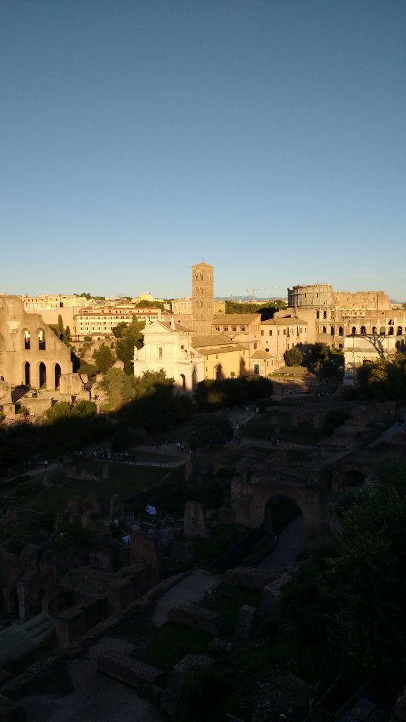 Forum/Palantine Hill