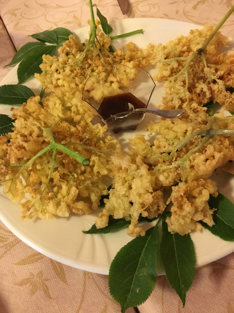 Fried elderberry flowersin Lamoli della Pace