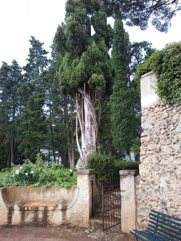 garden of the Villa Cimbrone