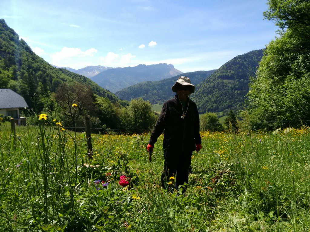 Gardening at the farm