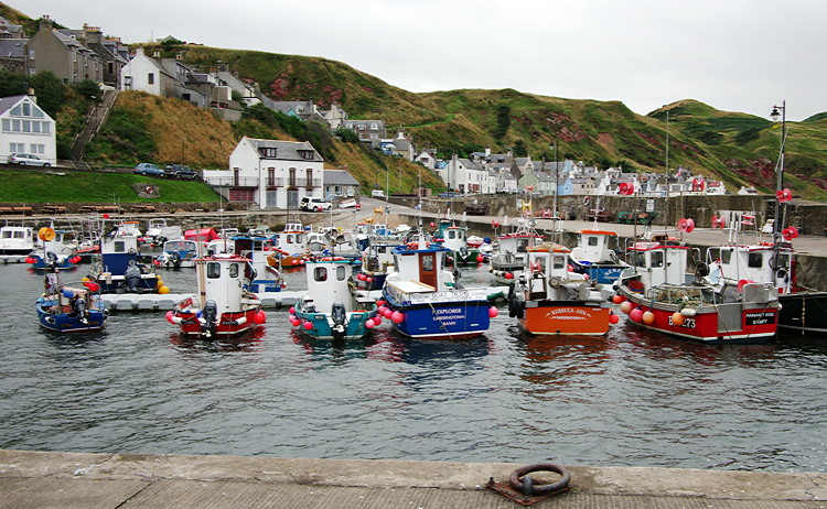 Gardenstown