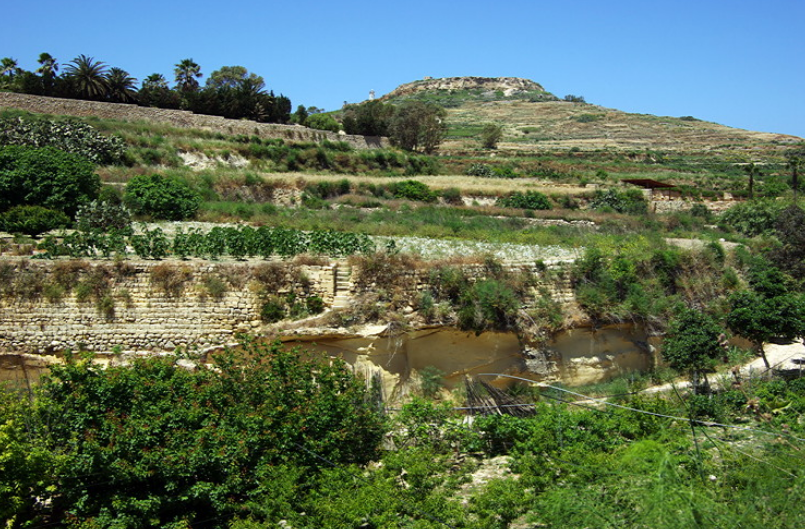 Ghasri Valley