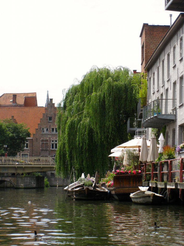 Ghent