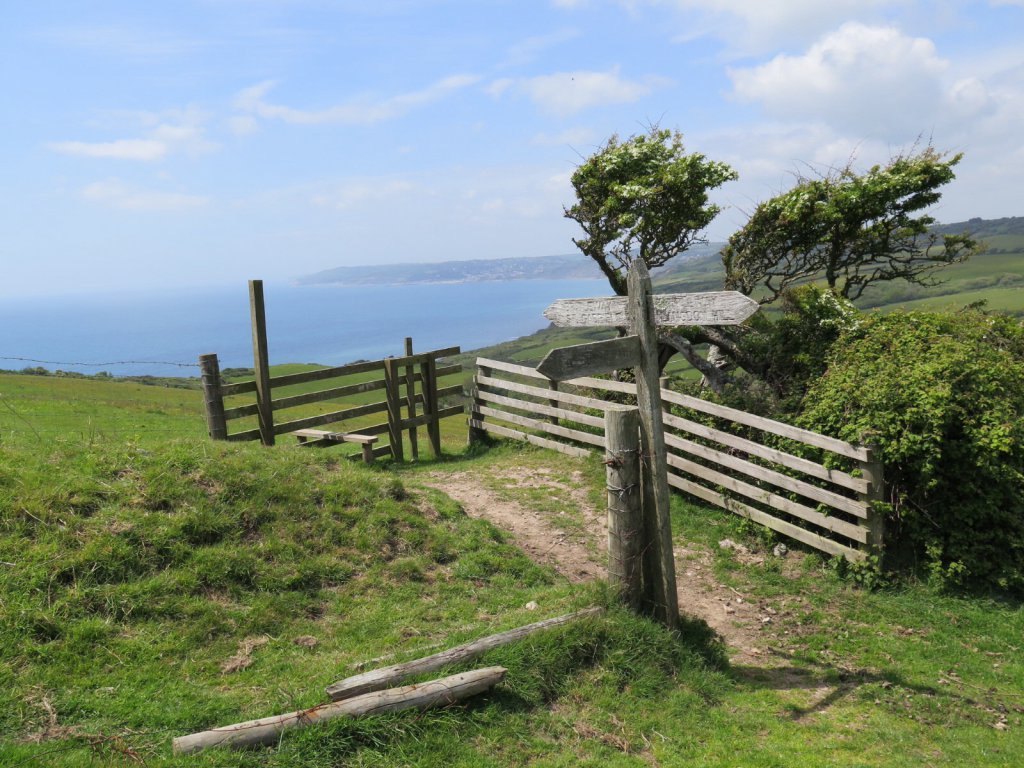 Golden Cap, Dorset