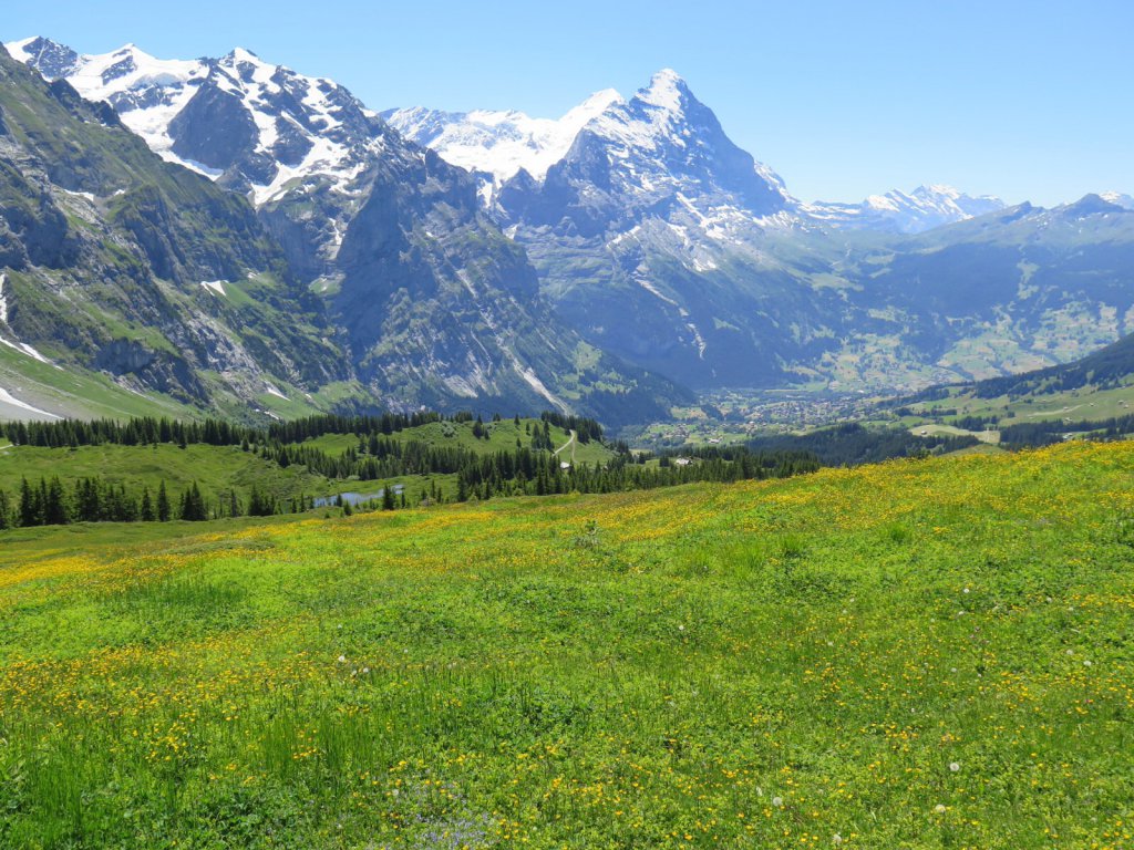 Grindelwald