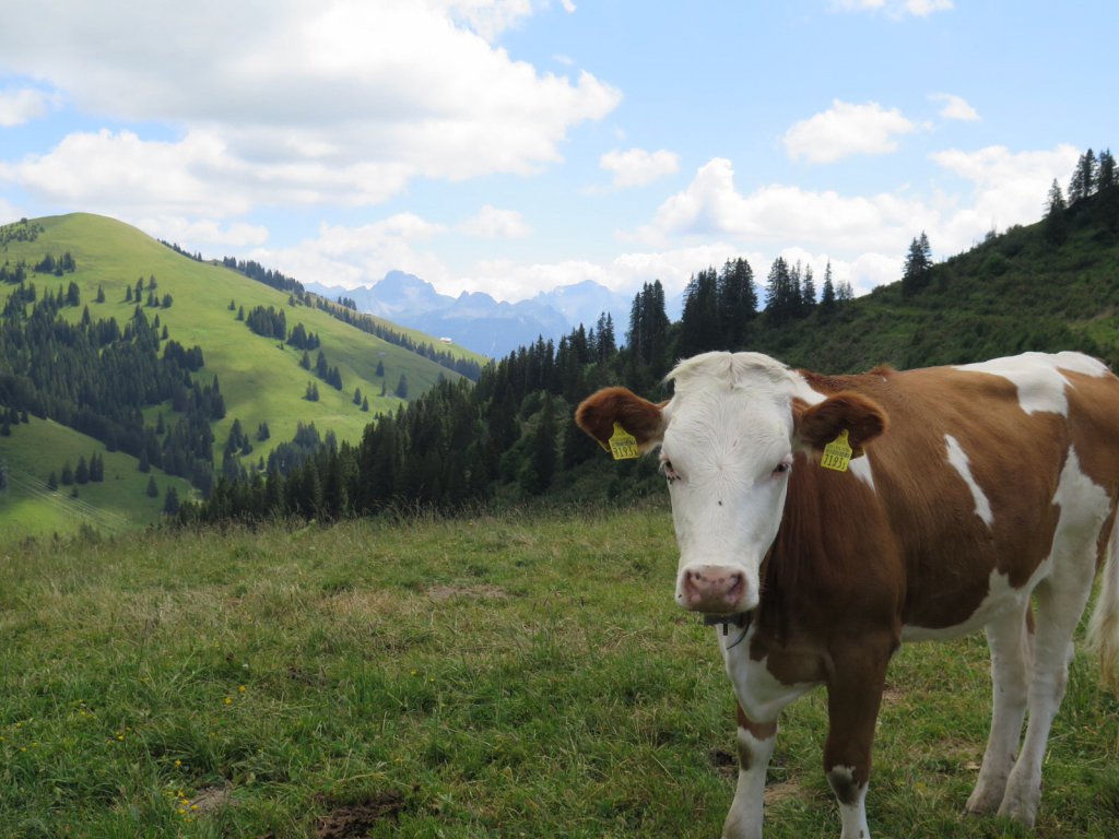 Gstaad/Saanen