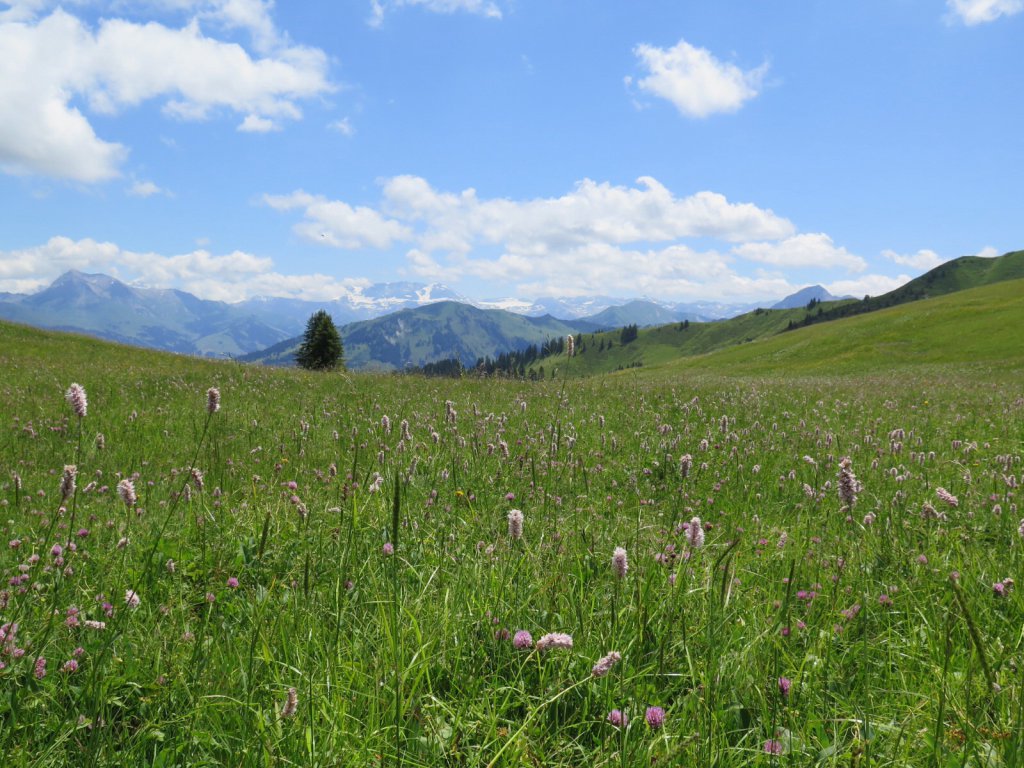 Gstaad/Saanen