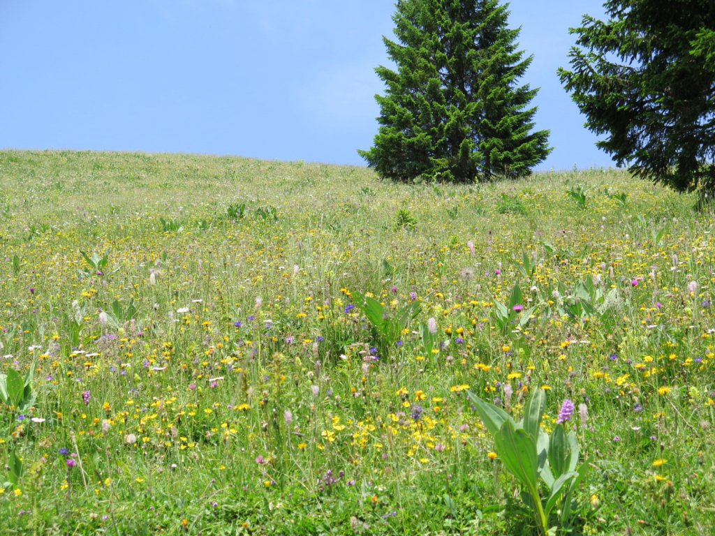 Gstaad