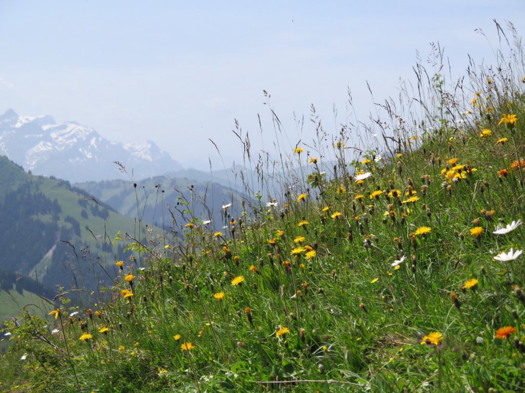 Gstaad