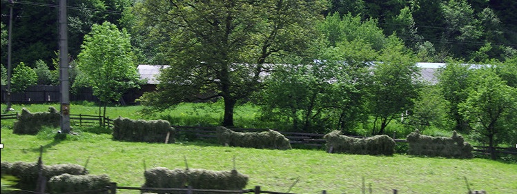 Hay drying racks