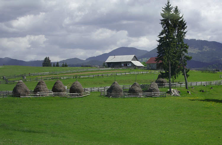 Hay stacks in the Carpathian Mountains