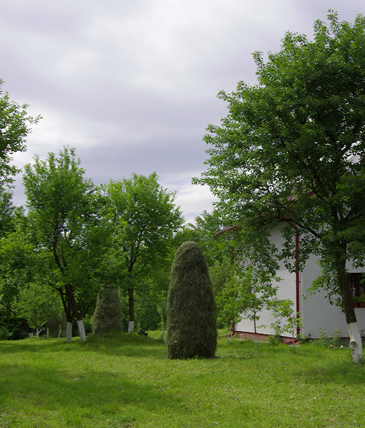 Haystack