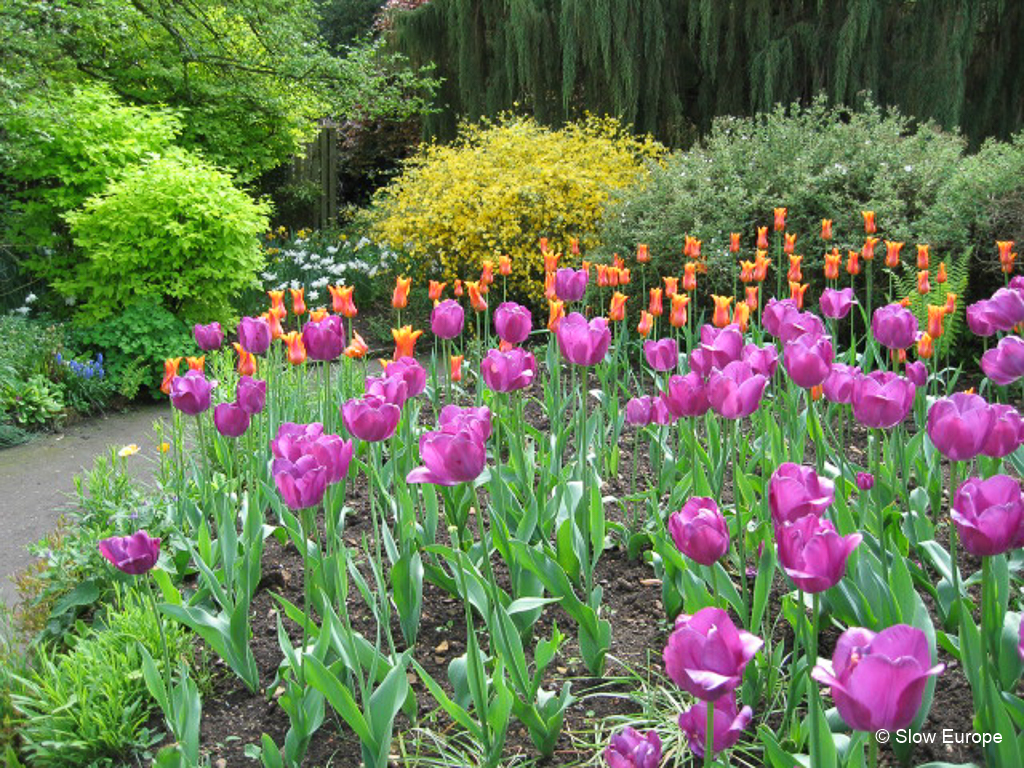 Hidcote Manor Garden