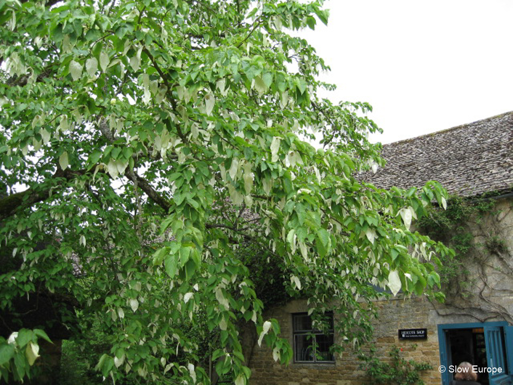 Hidcote Manor Garden