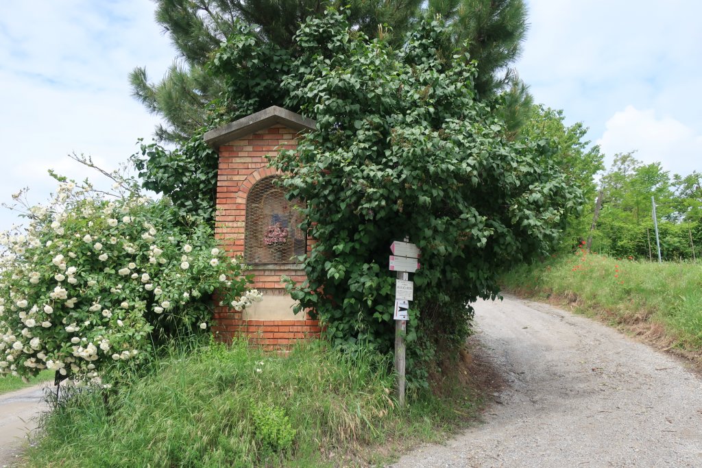 Hike - Barolo to Monforte