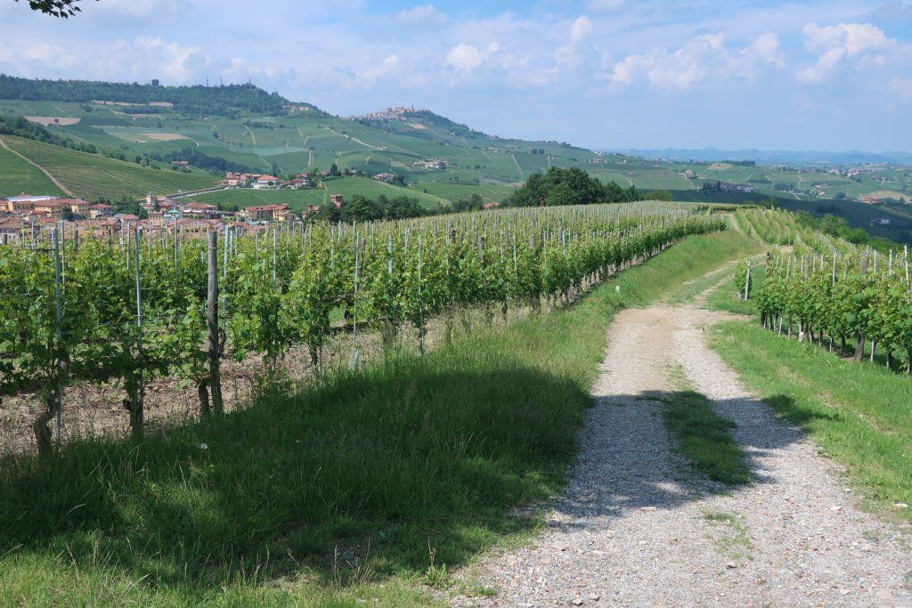 Hike - Barolo to Monforte