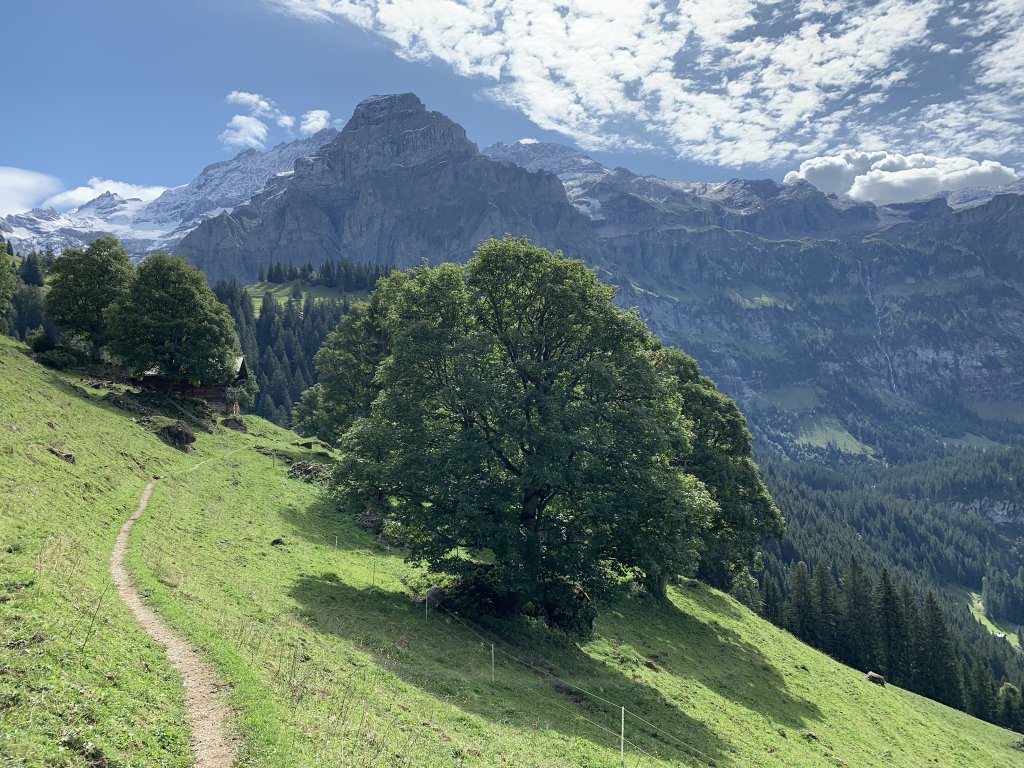 Hike Buhlberg to Simmenfalle